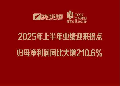 證券時報:遠東股份2025年上半年業績迎來拐點,歸母凈...